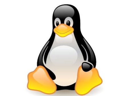 Ventajas e inconvenientes de utilizar Linux en tu empresa